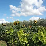 Bed & Breakfast Agroturizam 3*