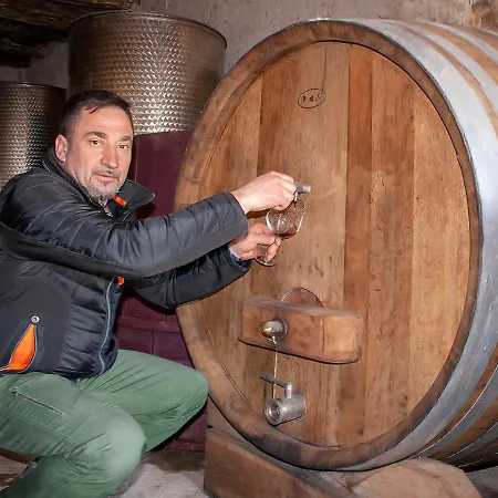 Agroturizam Panzió Buje