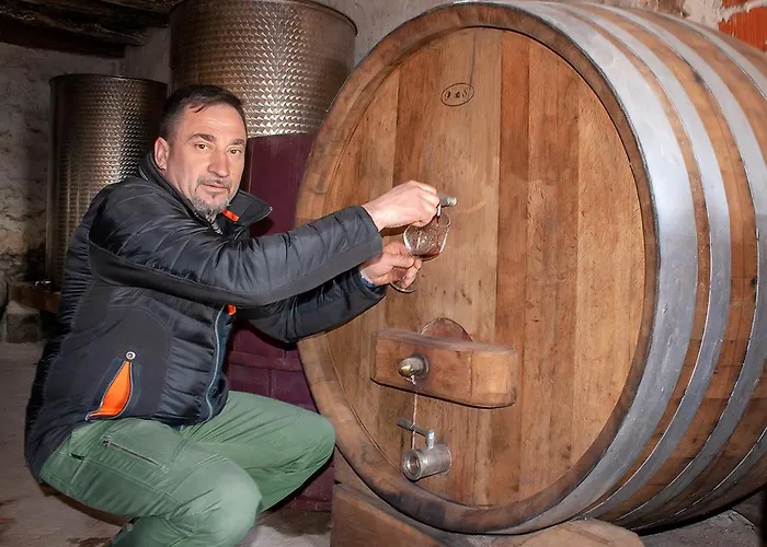 Agroturizam Couette-café Buje