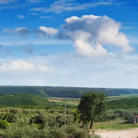 Agroturizam Buje