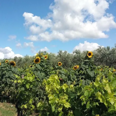 krevet i doručak Agroturizam *