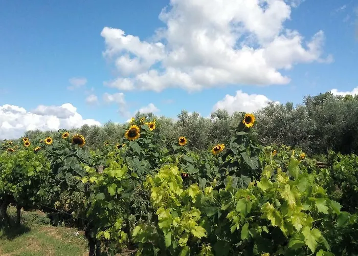 Frühstückspension Agroturizam 3*